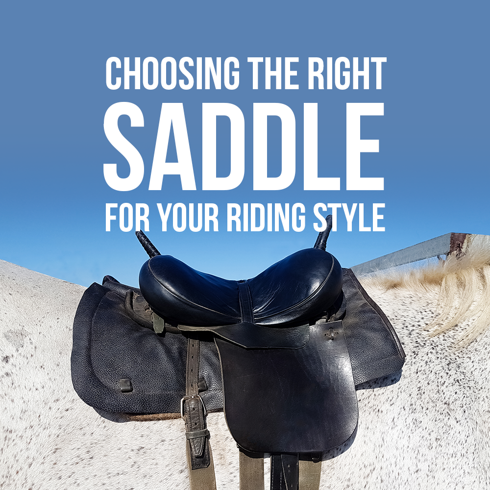 Choosing the Right Saddle for your Riding Style