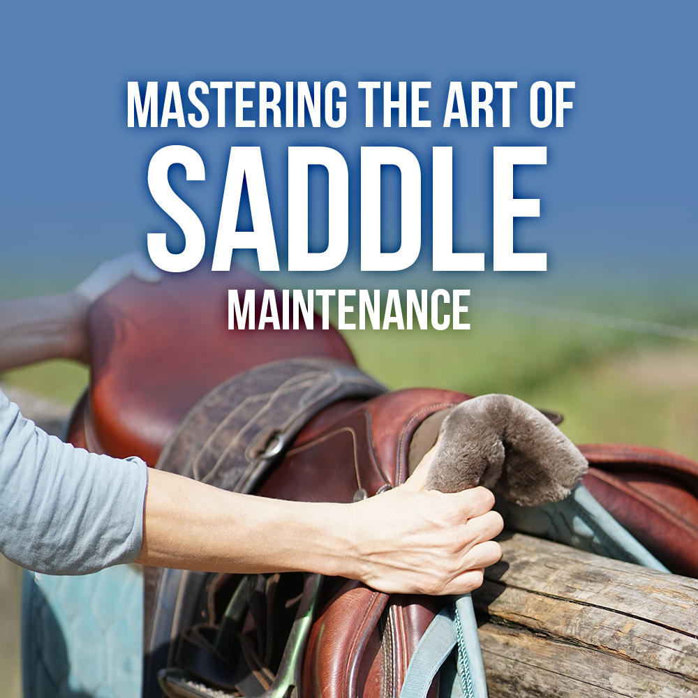 Mastering the Art of Saddle Maintenance