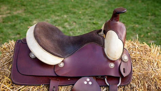Mastering the Art of Saddle Maintenance
