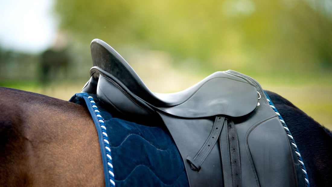 Selecting the Perfect Size Saddle