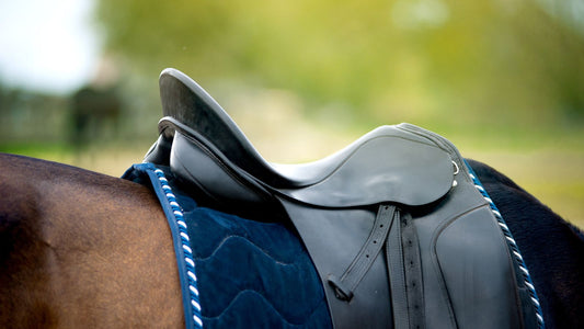 Selecting the Perfect Size Saddle