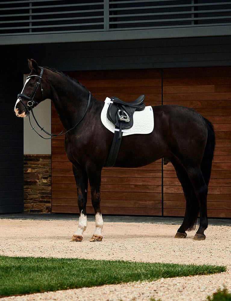 WeatherBeeta Air-Tec All Purpose Saddle Pad – Black