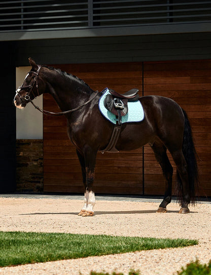 WeatherBeeta Elite Air-Tec Jump Saddle Pad - Aqua