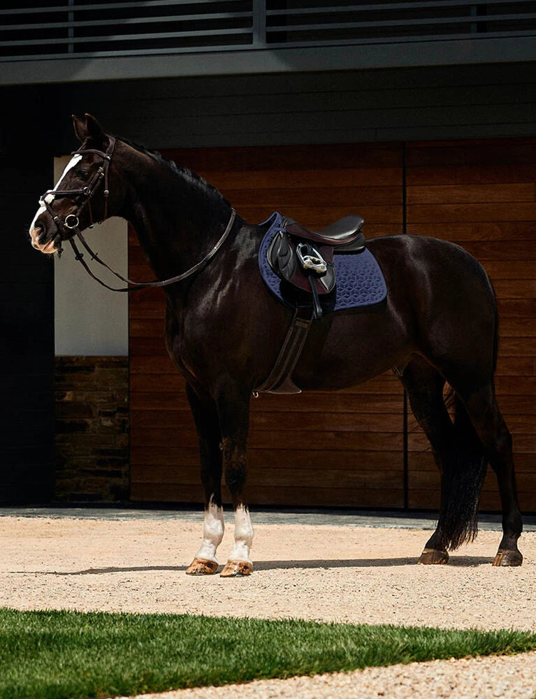 WeatherBeeta Elite Air-Tec Jump Saddle Pad - Aqua