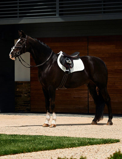 WeatherBeeta Elite Air-Tec Jump Saddle Pad - Aqua